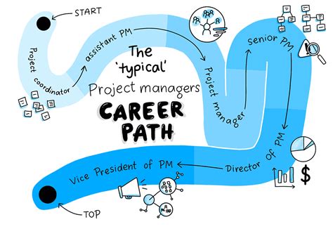 Professional Career and Projects