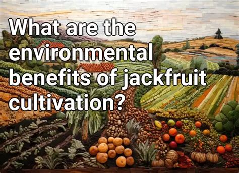 Promoting Sustainability: The Environmental Impact of Cultivating Jackfruit