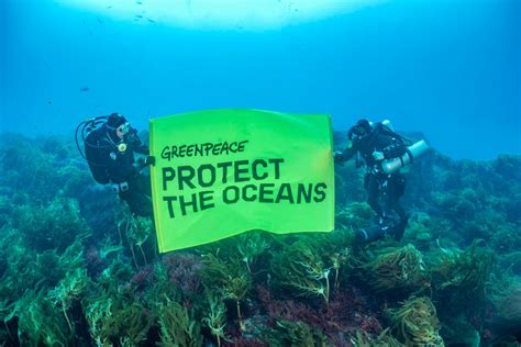 Protecting Our Seas for Future Generations