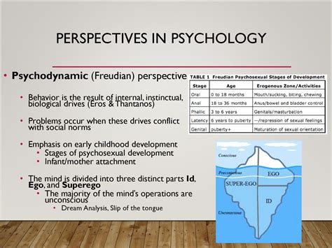 Psychoanalyzing the Dreams of an Infant Female: Freudian Perspectives