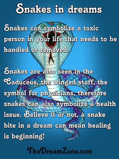 Psychological Analysis of Dreams Featuring a Brief Serpent