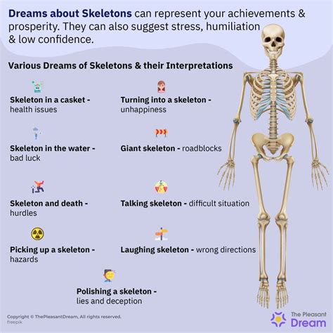 Psychological Development: How Experiencing a Skeleton in Your Dreams Influences Personal Growth and Transformation