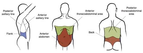 Psychological Insights into Dreaming about an Injured Abdomen