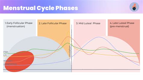 Psychological Insights into Dreams Regarding Ignored Menstrual Cycles