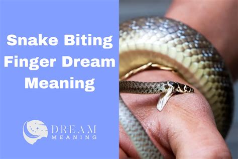 Psychological Interpretation of Finger Biting in Dreams