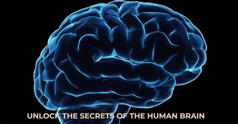 Psychological Interpretations: Exploring the Inner Workings of the Human Mind