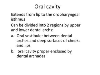 Psychological Perspective: Exploring the Significance of Objects Enclosed within the Oral Cavity