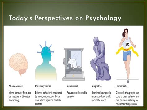 Psychological Perspectives: Analyzing the Significance of Mental Instability in Dreams