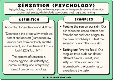 Psychological Perspectives: Examining the Possible Psychological Meanings behind the Enveloping Sensation of Water