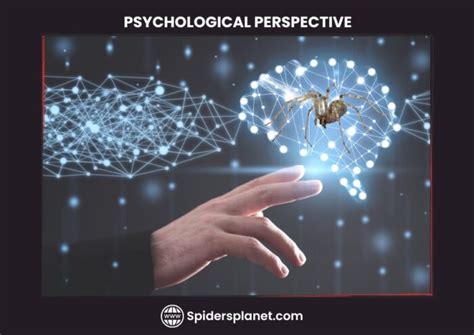 Psychological Perspectives: The Analysis of the Psychological Impact of Spider Dreams