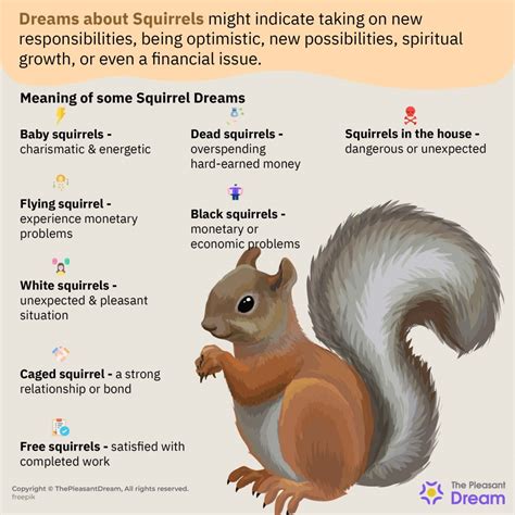 Psychological Perspectives on Dreaming About Squirrel Tails