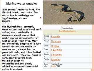 Psychological Perspectives on Experiencing Tiny Serpents in Aquatic Environments