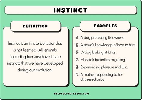 Psychological Perspectives on Maternal Instincts and Desires