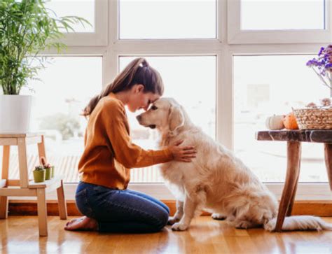 Puppy Therapy: Exploring the Therapeutic Effects of Bonding with Dogs