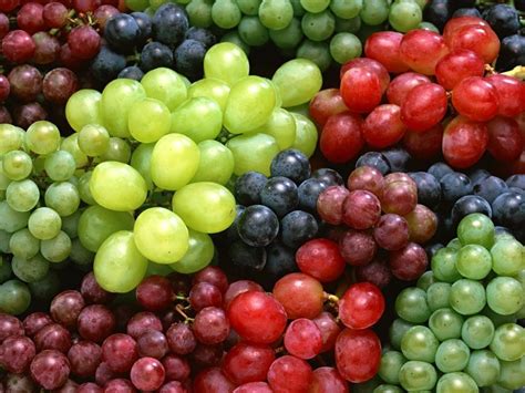 Purple Grapes Around the World: A Global Delight