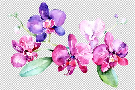 Purple Orchids in Art and Culture