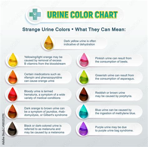 Purple Urine Color Chart: Understanding the Various Shades and Their Potential Significance