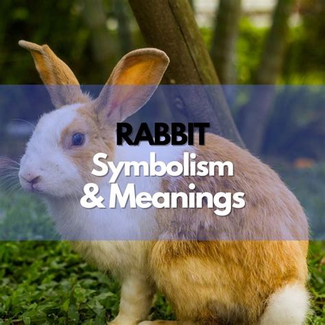 Rabbits as Symbols of Fertility and New Beginnings