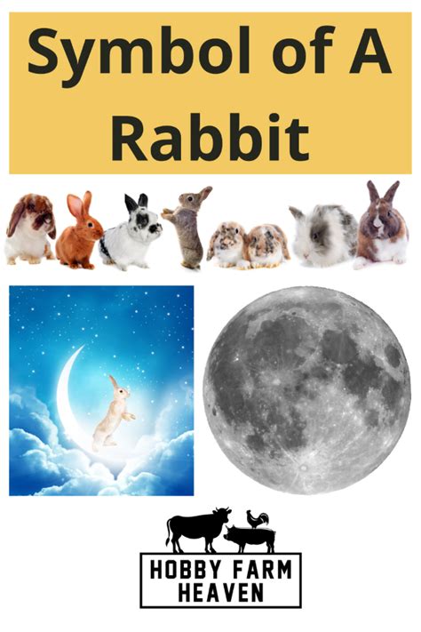 Rabbits as a Symbol of Productivity and Plenty