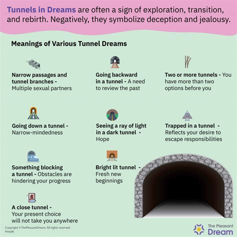 Racing Through Time: Analyzing the Temporal Aspect of Tunnel Dreams