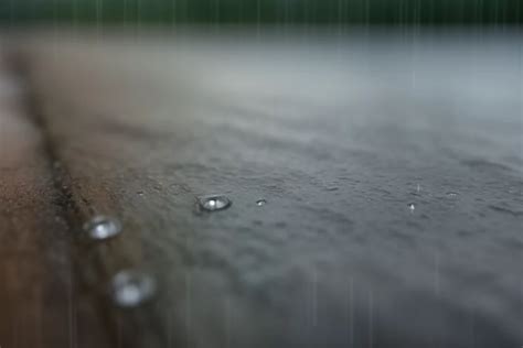 Rain: A Symbol of Cleansing and Renewal