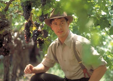 Raising a Glass: The Captivating Tale of Winemaking's Evolution in Movies