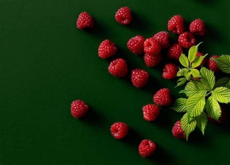 Raspberries: Discovering the Delight of Equilibrium and Safeguarding