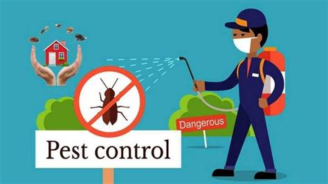 Recognizing the Importance of Efficient Pest Control