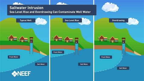 Recognizing the Potential Hazards Presented by Water Intrusion