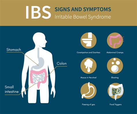 Recognizing the Signs and Symptoms of Bowel Issues