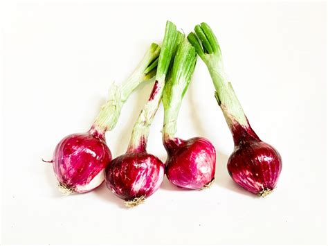 Red Onion as a Symbol of Concealed Feelings and Unarticulated Longings