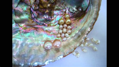 Red Pearls: A Hidden Gem beneath the Ocean