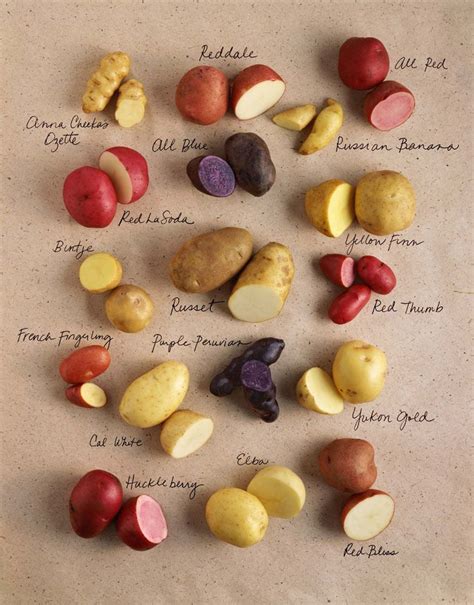 Red Potatoes around the World: How Different Cultures Incorporate this Versatile Ingredient