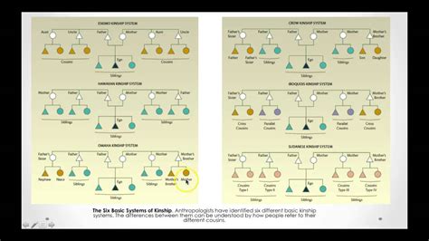 Rediscovering Lost Bonds: Companions and Kinship