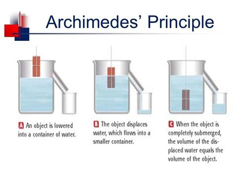 Reflecting on Metamorphosis: Deciphering the Vision of Being Submerged in Fluid