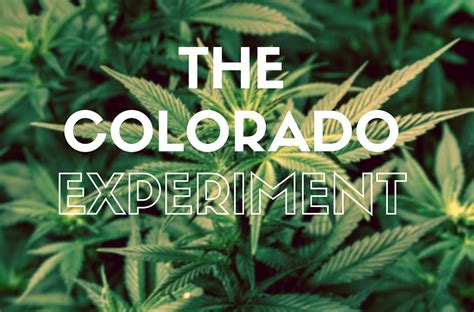 Reflections and Insights from my Cannabis Experience