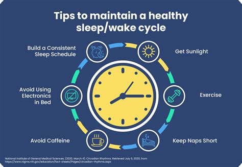 Regulate Your Sleep-Wake Cycle with Fresh Pumpkin