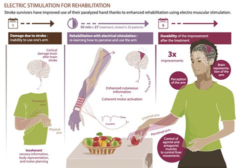 Rehabilitation Process: Recovering Motor Skills and Sensation