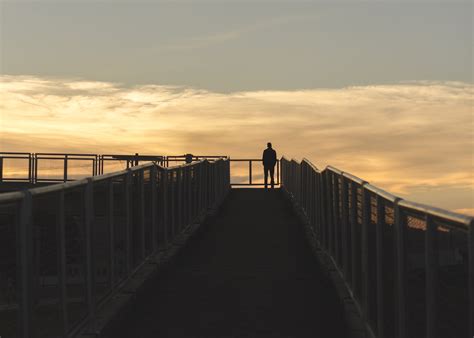 Rekindling Relationships: Exploring Paths to Overcoming Isolation and Rediscovering Connection