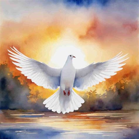 Religious Significance of White Doves