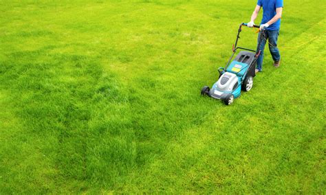 Reminiscing the Serene Charm of Damp Turf: The Endearing Longing for Moistened Lawns