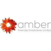 Revealing Amber's Financial Realm