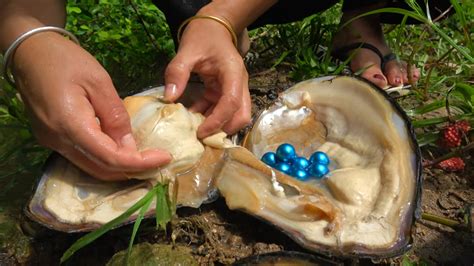 Revealing Exquisite Gems: Exploring Uncommon and Extraordinary Flora