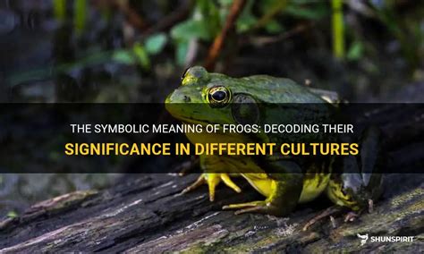 Revealing the Deeper Significance of the Frog Symbol