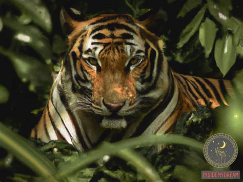 Revealing the Enigma: Symbolic Significance of Tiger's Demise in the Realm of Dream Psychology