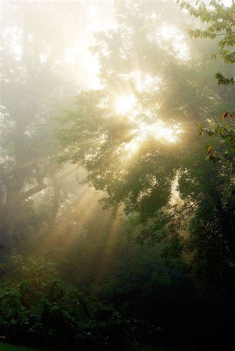 Revealing the Enigma: The Artistic Splendor of Sunbeams in Nature and Photography