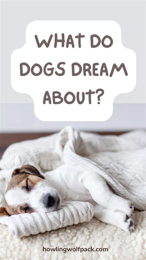 Revealing the Enigmas of Canine Behavior in Dreams