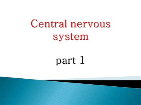 Revealing the Enigmas of the Nervous System