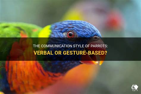 Revealing the Hidden Significance of Parrots Engaging in Verbal Communication during Dreams