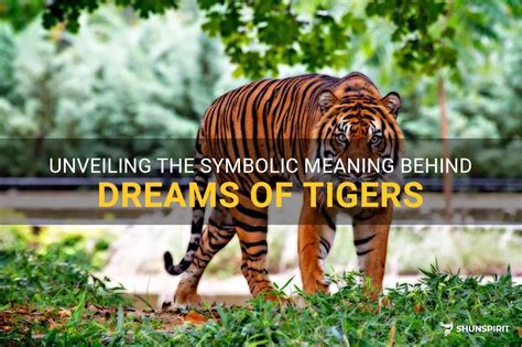 Revealing the Meaning behind Tigers in One's Dreams